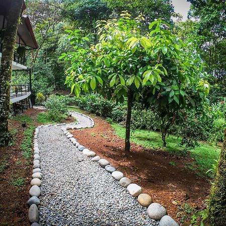 The Scarlet Villas Ojochal Exterior photo